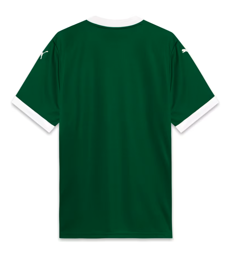 Camisa Palmeiras 25/26 Home Masculina